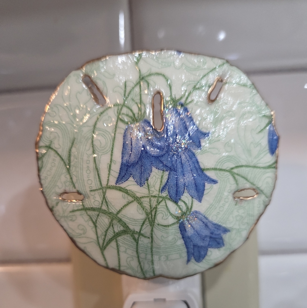 Sand Dollar Blue Bell The Legend Of Hope And Peace